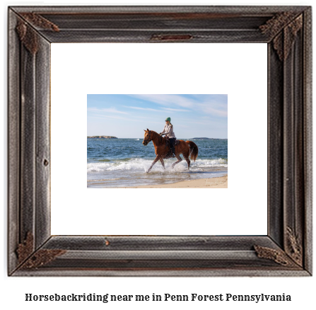 horseback riding near me in Penn Forest, Pennsylvania